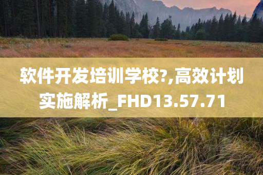 软件开发培训学校?,高效计划实施解析_FHD13.57.71