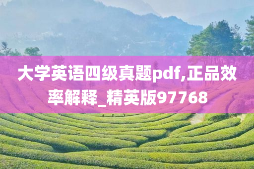 大学英语四级真题pdf,正品效率解释_精英版97768