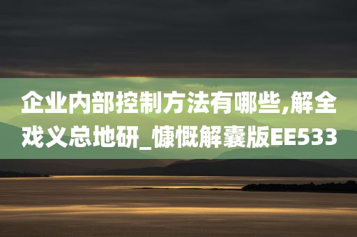 企业内部控制方法有哪些,解全戏义总地研_慷慨解囊版EE533