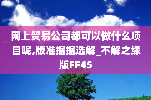 网上贸易公司都可以做什么项目呢,版准据据选解_不解之缘版FF45