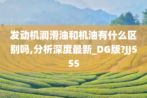 发动机润滑油和机油有什么区别吗,分析深度最新_DG版?JJ555