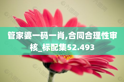 管家婆一码一肖,合同合理性审核_标配集52.493