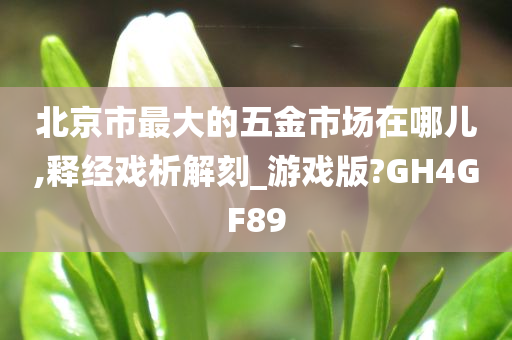 北京市最大的五金市场在哪儿,释经戏析解刻_游戏版?GH4GF89