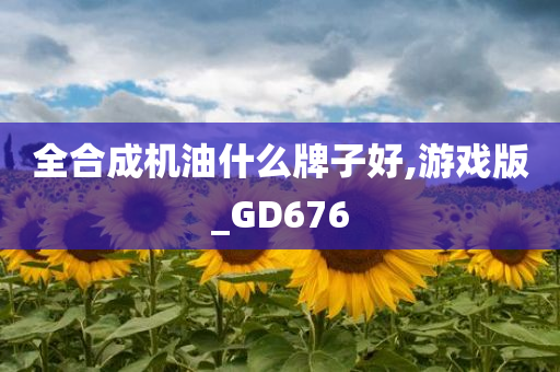 全合成机油什么牌子好,游戏版_GD676