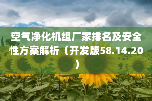 空气净化机组厂家排名及安全性方案解析（开发版58.14.20）