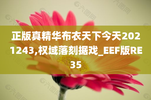 正版真精华布衣天下今天2021243,权域落刻据戏_EEF版RE35