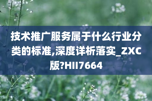 技术推广服务属于什么行业分类的标准,深度详析落实_ZXC版?HII7664