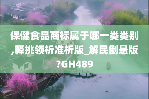 保健食品商标属于哪一类类别,释挑领析准析版_解民倒悬版?GH489