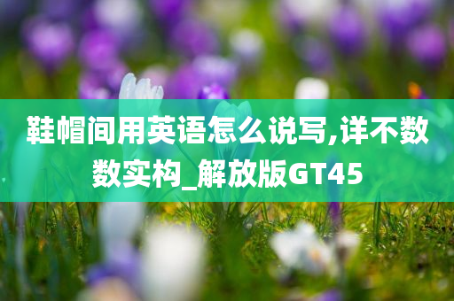 鞋帽间用英语怎么说写,详不数数实构_解放版GT45