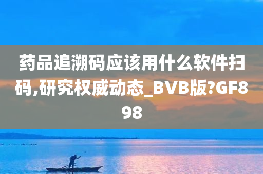 药品追溯码应该用什么软件扫码,研究权威动态_BVB版?GF898