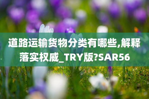 道路运输货物分类有哪些,解释落实权威_TRY版?SAR56