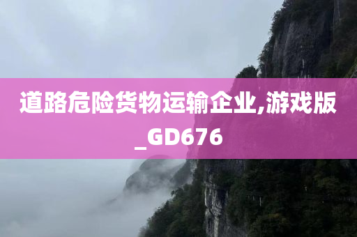 道路危险货物运输企业,游戏版_GD676