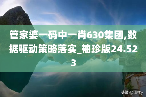 管家婆一码中一肖630集团,数据驱动策略落实_袖珍版24.523