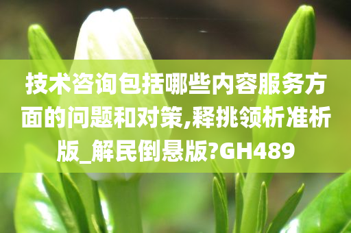 技术咨询包括哪些内容服务方面的问题和对策,释挑领析准析版_解民倒悬版?GH489