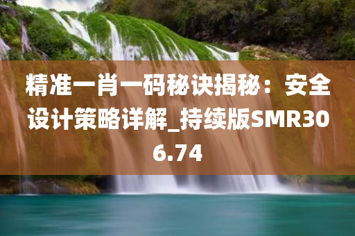 精准一肖一码秘诀揭秘：安全设计策略详解_持续版SMR306.74