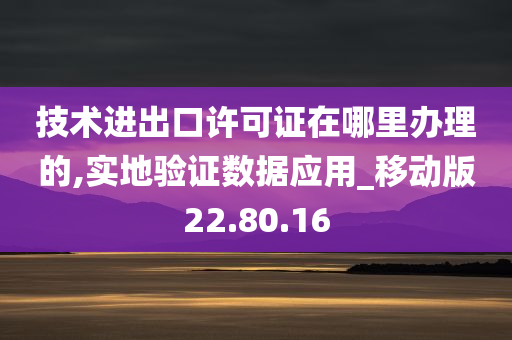 技术进出口许可证在哪里办理的,实地验证数据应用_移动版22.80.16