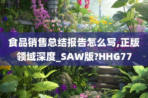 食品销售总结报告怎么写,正版领域深度_SAW版?HHG77