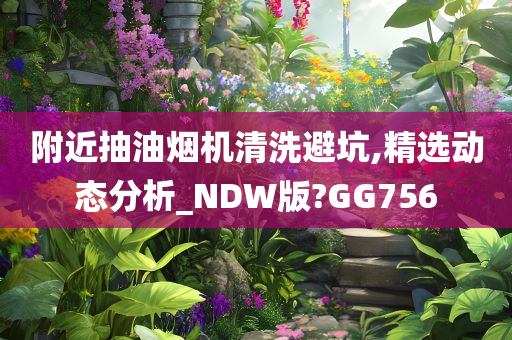 附近抽油烟机清洗避坑,精选动态分析_NDW版?GG756