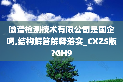 微谱检测技术有限公司是国企吗,结构解答解释落实_CXZS版?GH9