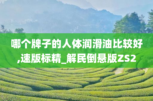 哪个牌子的人体润滑油比较好,速版标精_解民倒悬版ZS2