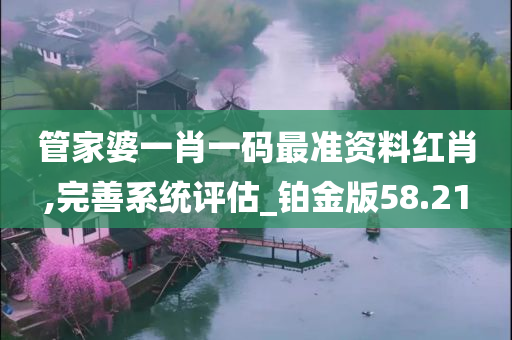 管家婆一肖一码最准资料红肖,完善系统评估_铂金版58.21