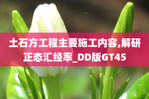 土石方工程主要施工内容,解研正态汇经率_DD版GT45