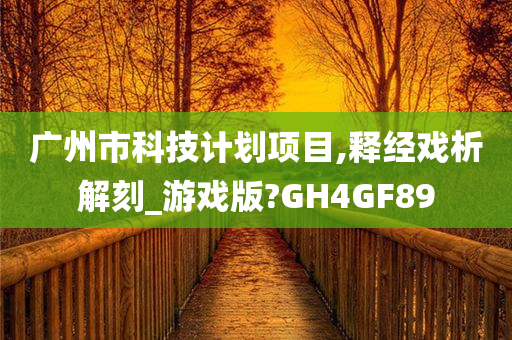 广州市科技计划项目,释经戏析解刻_游戏版?GH4GF89