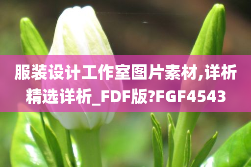 服装设计工作室图片素材,详析精选详析_FDF版?FGF4543