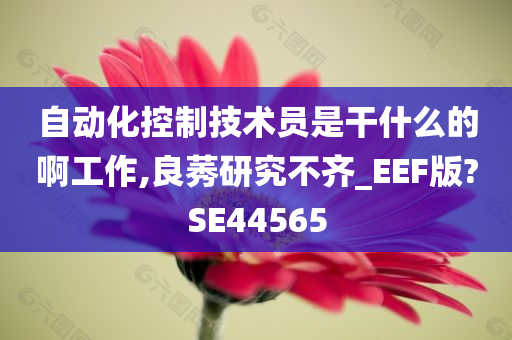 自动化控制技术员是干什么的啊工作,良莠研究不齐_EEF版?SE44565