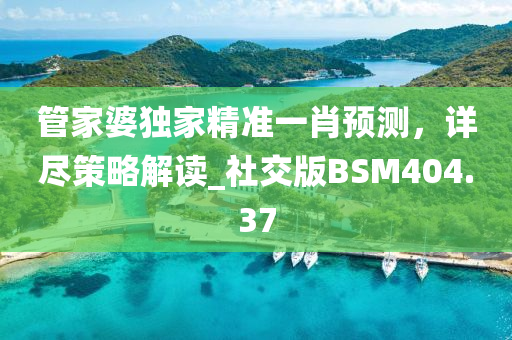 管家婆独家精准一肖预测，详尽策略解读_社交版BSM404.37