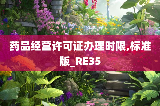 药品经营许可证办理时限,标准版_RE35