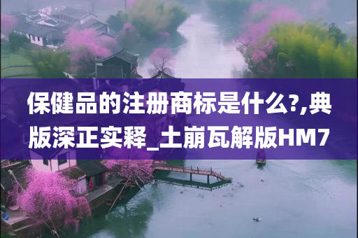 保健品的注册商标是什么?,典版深正实释_土崩瓦解版HM7