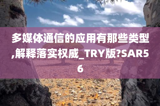 多媒体通信的应用有那些类型,解释落实权威_TRY版?SAR56