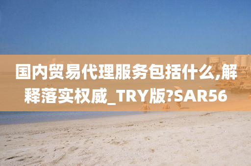 国内贸易代理服务包括什么,解释落实权威_TRY版?SAR56