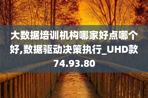 大数据培训机构哪家好点哪个好,数据驱动决策执行_UHD款74.93.80