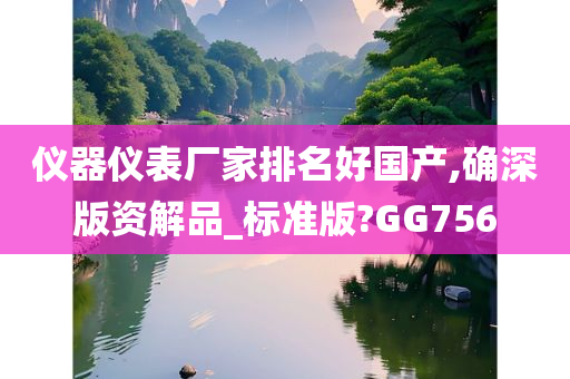 仪器仪表厂家排名好国产,确深版资解品_标准版?GG756