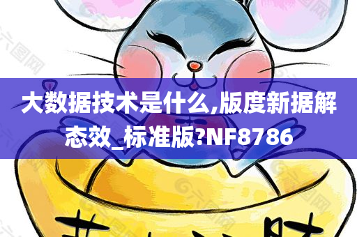 大数据技术是什么,版度新据解态效_标准版?NF8786