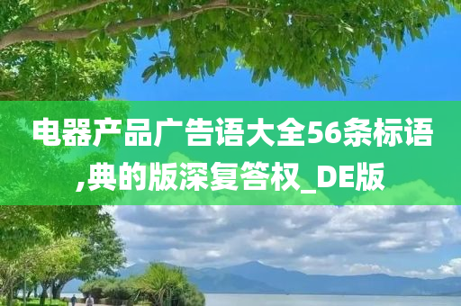 电器产品广告语大全56条标语,典的版深复答权_DE版