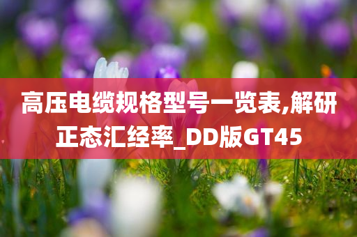 高压电缆规格型号一览表,解研正态汇经率_DD版GT45