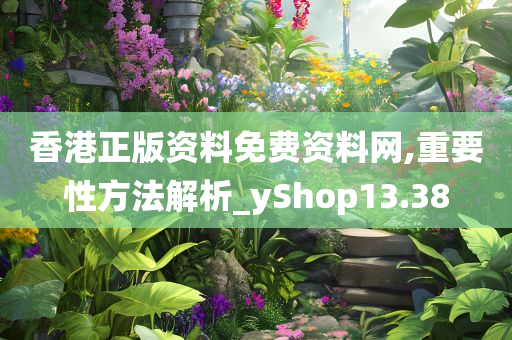 香港正版资料免费资料网,重要性方法解析_yShop13.38