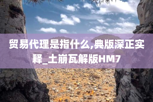 贸易代理是指什么,典版深正实释_土崩瓦解版HM7