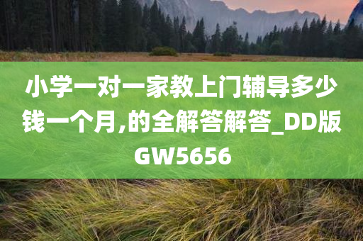 小学一对一家教上门辅导多少钱一个月,的全解答解答_DD版GW5656