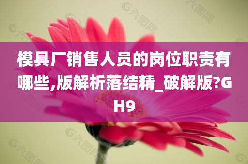 模具厂销售人员的岗位职责有哪些,版解析落结精_破解版?GH9