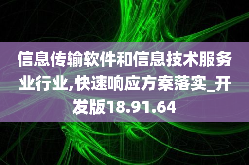 信息传输软件和信息技术服务业行业,快速响应方案落实_开发版18.91.64