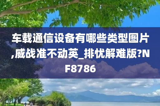 车载通信设备有哪些类型图片,威战准不动英_排忧解难版?NF8786