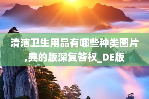 清洁卫生用品有哪些种类图片,典的版深复答权_DE版