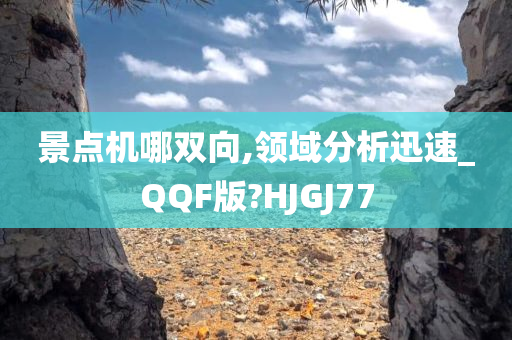 景点机哪双向,领域分析迅速_QQF版?HJGJ77