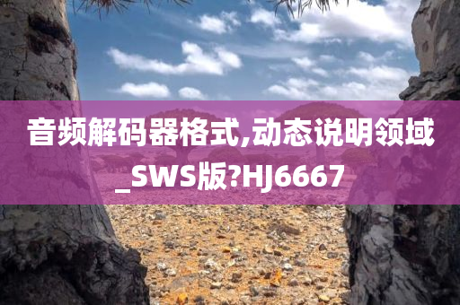 音频解码器格式,动态说明领域_SWS版?HJ6667