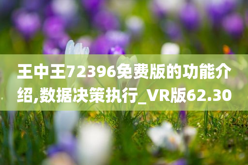 王中王72396免费版的功能介绍,数据决策执行_VR版62.30