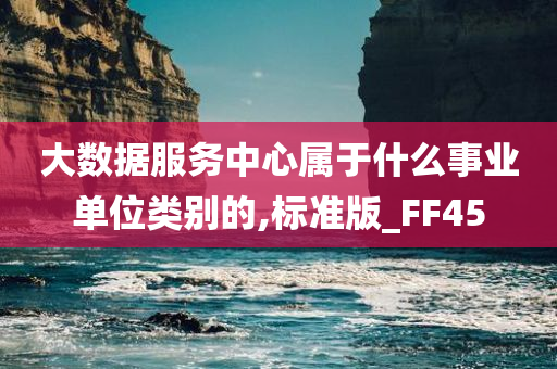 大数据服务中心属于什么事业单位类别的,标准版_FF45